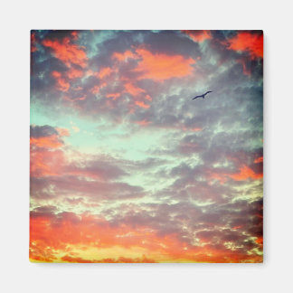 Aimant Photo d'oiseau volant dans les nuages