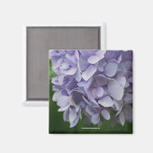 Aimant photo doux Hydrangea - Customisé (Recto/Verso)