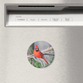 Aimant Photo du Cardinal du Nord (In Situ (Lave-vaisselle))