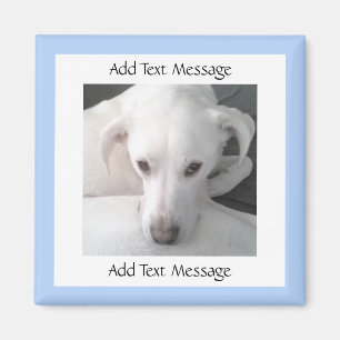 Aimant Photo Du Chien Unique White Labrador Retriever Mix