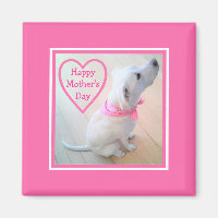 Photo du mignon chien portant l'écharpe rose Fête 