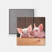 Aimant Photo d'un animal de porcelets roses mignons (Recto/Verso)