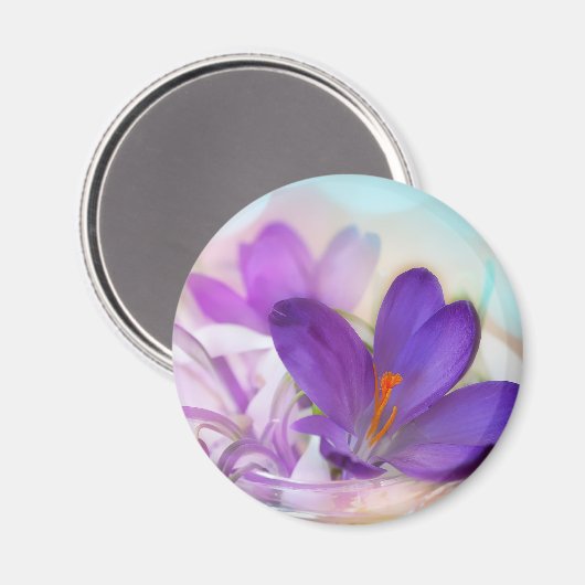 Aimant Photo d'un joli Crocus de printemps violet (Recto/Verso)