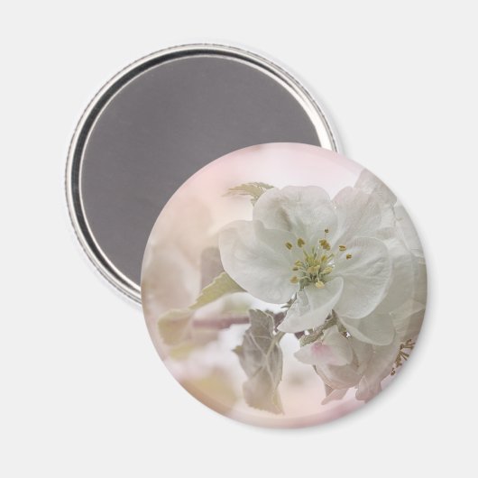 Aimant Photo en fleurs de pomme blanche (Recto/Verso)