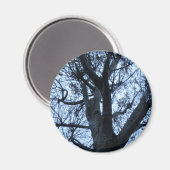 Aimant photo en silhouette d'arbre (Recto/Verso)