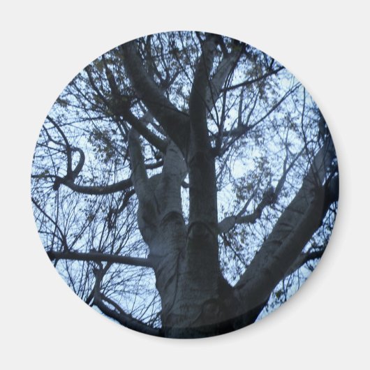 Aimant photo en silhouette d'arbre (Devant)