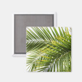 Aimant photo estivale de la feuille de palmier tropicale  (Recto/Verso)
