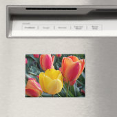 Aimant Photo florale (In Situ (Lave-vaisselle))