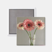 Aimant Photo Happy Gerbera Rose Flower +Custom Name (Recto/Verso)