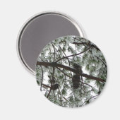 Aimant Photo hivernale sous le pin couvert de neige (Recto/Verso)