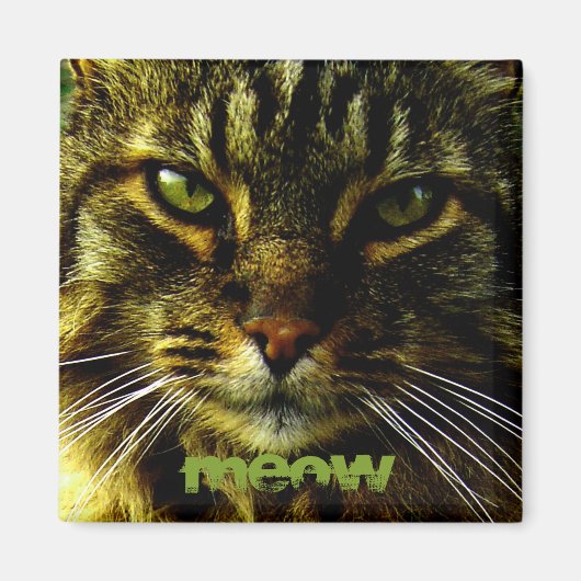 Aimant Photo Hypnotisante des yeux de chat (Devant)