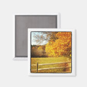 aimant photo instagram (Recto/Verso)