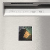 aimant photo instagram (In Situ (Lave-vaisselle))