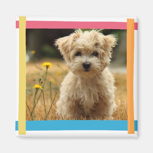 aimant photo instagram (Devant)