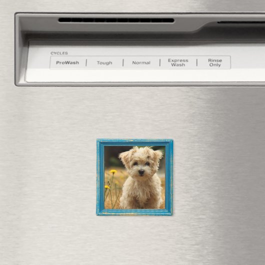 aimant photo instagram (In Situ (Lave-vaisselle))