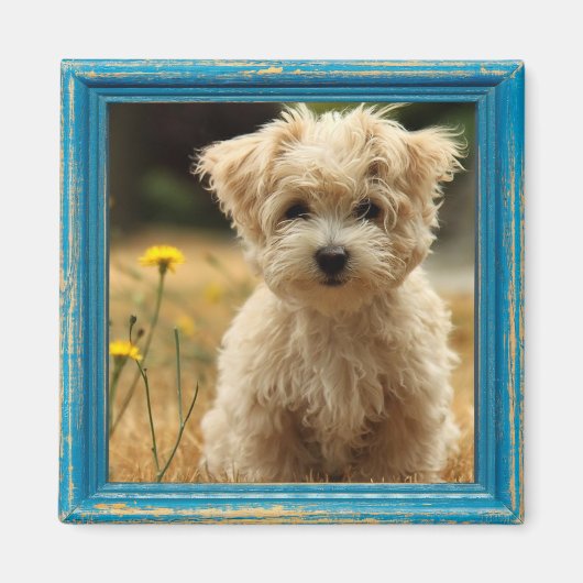 aimant photo instagram (Devant)