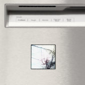 aimant photo instagram (In Situ (Lave-vaisselle))