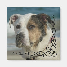 Photo Instagram personnalisée Créez votre propre a