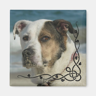 Aimant Photo Instagram personnalisée Créez votre propre a