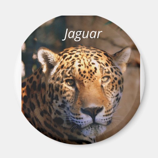 aimant photo Jaguar (Devant)
