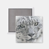 Aimant Photo léopard de neige blanc exotique (Recto/Verso)