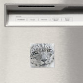 Aimant Photo léopard de neige blanc exotique (In Situ (Lave-vaisselle))