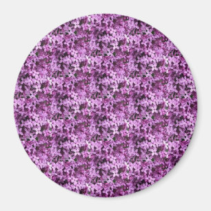 Aimant Photo Lilac Demi-goutte Carrelée