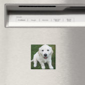 Aimant Photo Modern Simple Custom Cute Pet (In Situ (Lave-vaisselle))