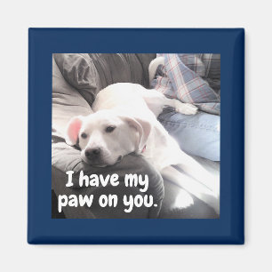Aimant Photo of Cute White Dog With Back Paw On Dad