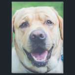 Aimant Photo ou art personnalisé<br><div class="desc">Aimant personnalisé de Ricaso - ajoutez votre propre photographie ou oeuvre d'art personnalisée,  ajoutez du texte à l'aide de l'outil de conception,  de superbes idées cadeaux photo et des cadeaux personnels</div>