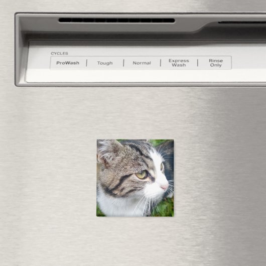 Aimant photo personnalisé pour réfrigérateur | Vot (In Situ (Lave-vaisselle))