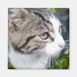 Aimant photo personnalisé pour réfrigérateur   Vot