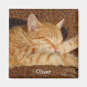 Aimant Photo personnalisée de l'animal
