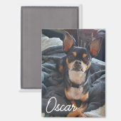 Aimant Photo personnalisée pour animal de compagnie (Recto/Verso)