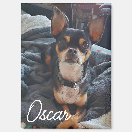 Aimant Photo personnalisée pour animal de compagnie (Recto)
