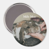 Aimant Photo personnalisée pour animal de compagnie (Recto/Verso)