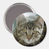 aimant photo - personnaliser avec votre animal de  (Recto/Verso)