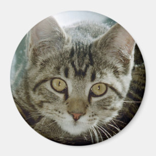 aimant photo - personnaliser avec votre animal de