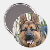 Aimant Photo pour animaux de compagnie - Chien - Chat - M (Recto/Verso)