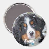 Aimant Photo pour animaux de compagnie - Chien - Chat - M (Recto/Verso)