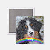 Aimant Photo pour animaux de compagnie - Chien - Chat - M (Recto/Verso)