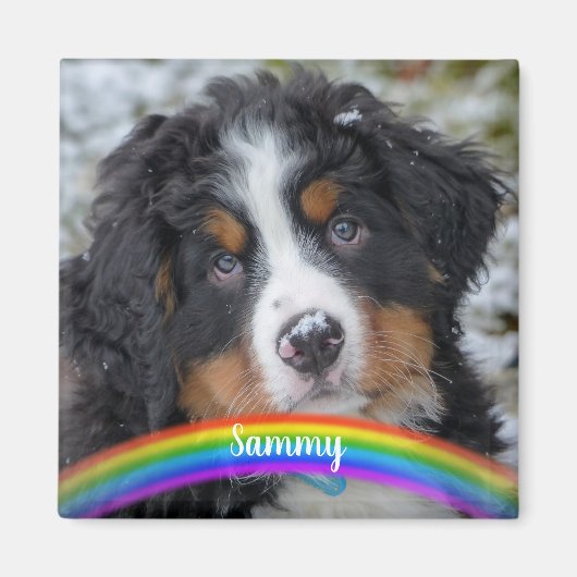 Aimant Photo pour animaux de compagnie - Chien - Chat - M (Devant)