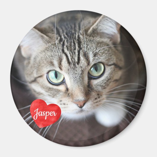 Aimant Photo pour animaux de compagnie - Chien - Chat - M (Devant)