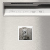 Aimant Photo pour animaux de compagnie intemporelle Keeps (In Situ (Lave-vaisselle))