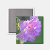Aimant photo rose Azalea (Recto/Verso)