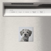 Aimant Photo Schnauzer Portrait de chiot (In Situ (Lave-vaisselle))