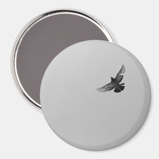 Aimant Photo simple moderne noir pigeon d'oiseau volant n (Recto/Verso)
