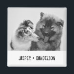 Aimant Photo simple, moderne personnalisée pour animaux d<br><div class="desc">Ajoutez votre propre photo et texte pour créer un cadeau photo unique. Cet aimant frigo est prêt à être customisé avec votre photo et vos propres noms ou message dans le style de machine à écrire noir en détresse. Le style simple, moderne, noir et blanc est très réussi avec des...</div>