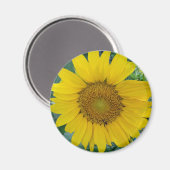 Aimant Photo tournesol (Recto/Verso)