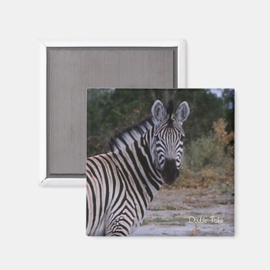 Aimant Photo Zebra Double Take (Recto/Verso)